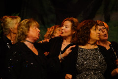 DSC07785