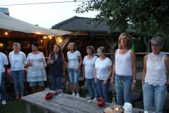 IMG_7781-scaled